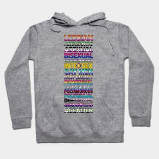 LGBTQ+ flags in text Hoodie